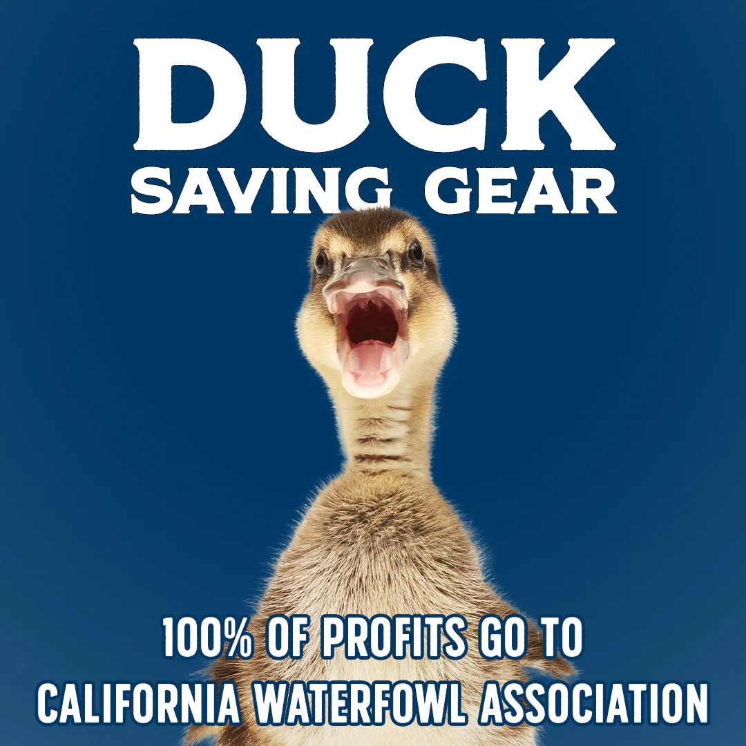 ChicoBag Reusable Bag - Image 4